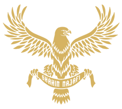 ShahinNajafi logo