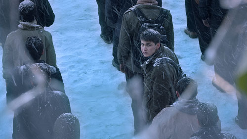 2024 UCLA Film - In The Land of Brothers