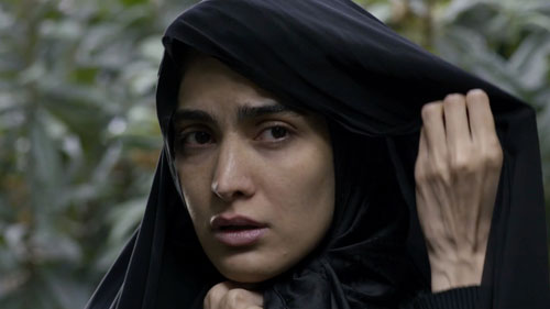 2024 UCLA Film - Lost Swan