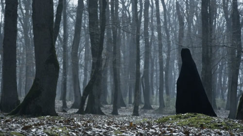 2024 UCLA Film - Lost Swan