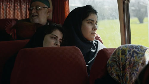 2024 UCLA Film - Lost Swan