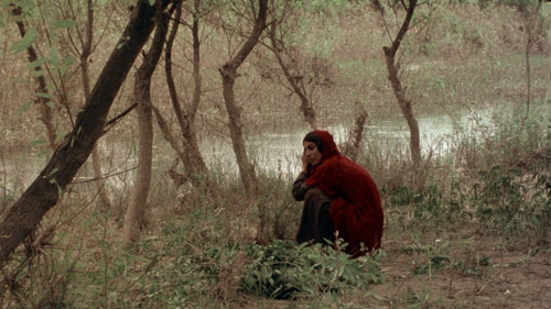 2024 UCLA Film - The Sealed Soil