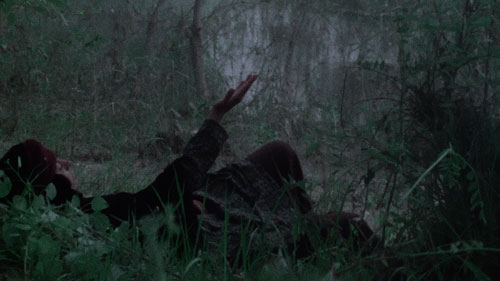 2024 UCLA Film - The Sealed Soil