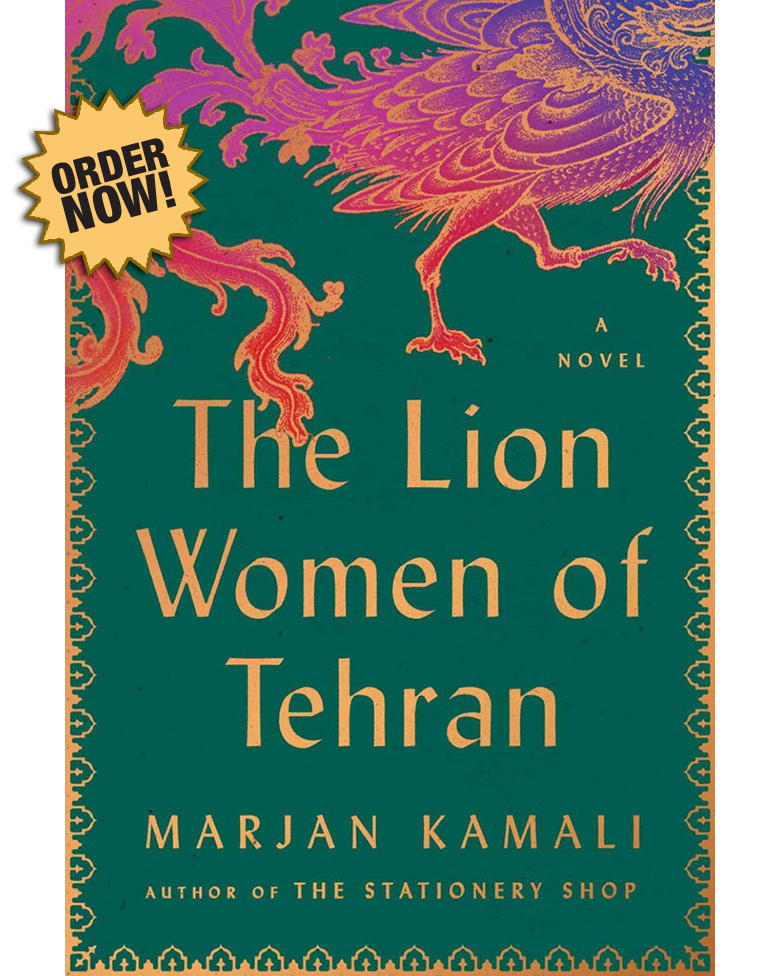The Lion Women of Tehran cover