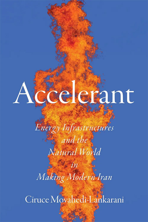 Accelerant book cover