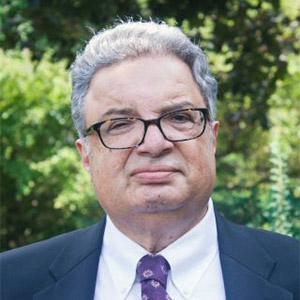 Professor Ali Mirsepassi