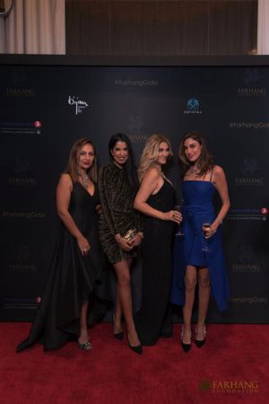 on the red carpet   Farhang s 8th Annual Gala 2018149