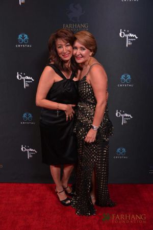 on the red carpet   Farhang s 8th Annual Gala 2018153