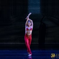 The White Feather 014