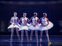 The White Feather 028