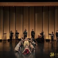 Conference of The Birds   024