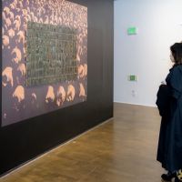 047 ART IRAN Falling Into Language Opening Celebration