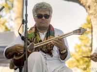 13  FESTIVAL BEVERLY HILLS   2024