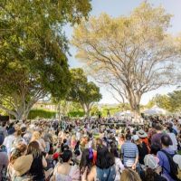 41  FESTIVAL BEVERLY HILLS   2024