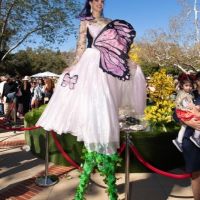20  15th Annual Celebration of Nowruz at UCLA