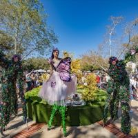 16  Highlights from the 15th Annual Celebration of Nowruz at UCLA