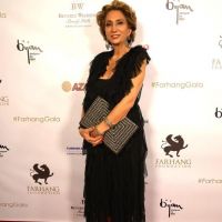 7th annual gala on the red carpet 219