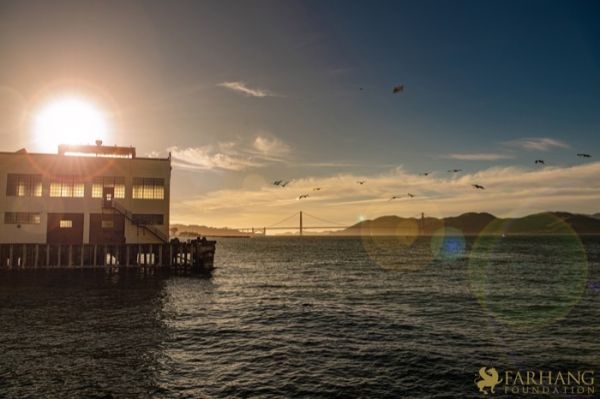 6 Voices Unveiled SF