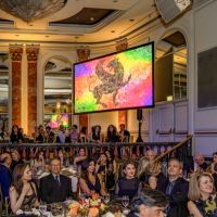 294  14th Annual Farhang Foundation Fundraising Gala