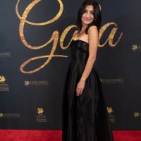 263 Red Carpet Gala 2025