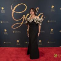 380 Red Carpet Gala 2025