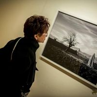 focus iran 2 opening reception preview 006