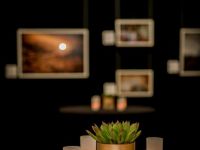 focus iran 2 opening reception orange county 016