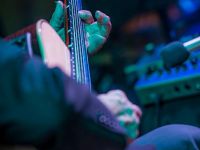 focus iran 2 opening reception preview 060