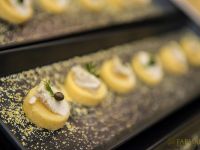 focus iran 2 opening reception preview 075