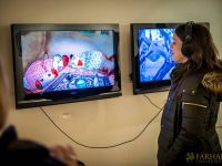 focus iran 2 opening reception preview 078