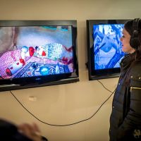 focus iran 2 opening reception preview 078