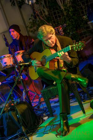 focus iran 2 opening reception preview 096