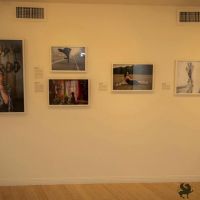 focus iran 3 donor opening reception 031