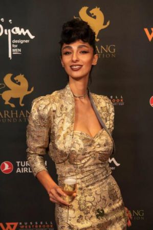 On The Red Carpet   Farhang Gala 013