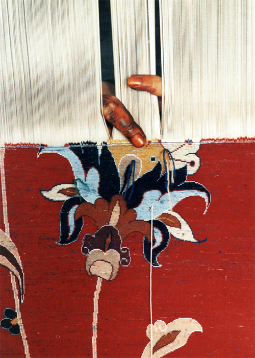 iranian carpet amir amiri